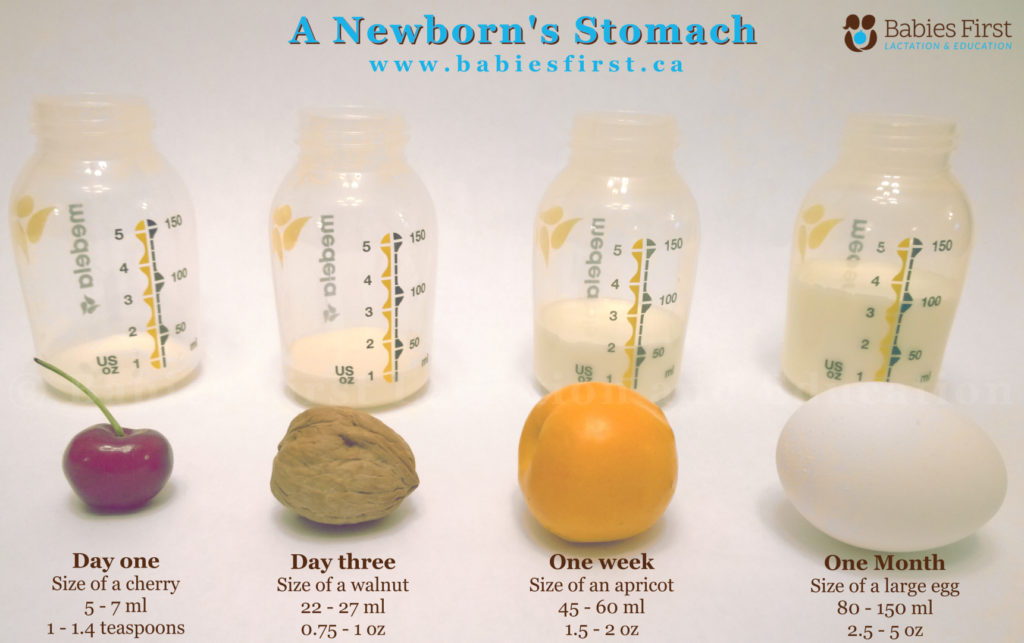 Size Of Newborn Stomach Chart